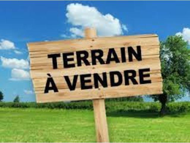 TERRAIN TITRE A VENDRE A YAOUNDE 