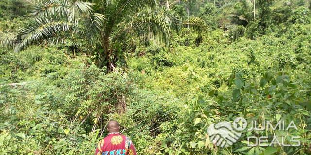 Terrains À Vendre Yaoundé Avant Mbalmayo 