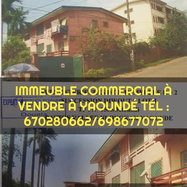 Immeuble Commercial À Vendre Yaoundé Bastos 