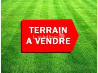 TERRAIN TITRE A VENDRE YAOUNDE VERS USINE CIMEMCAM- NKOLFUN 