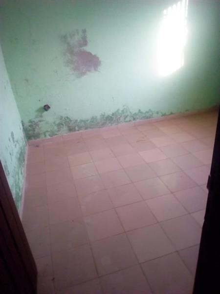 Appartement A Louer A Yaounde Emombo 