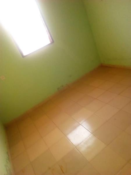 Appartement A Louer A Yaounde Emombo 