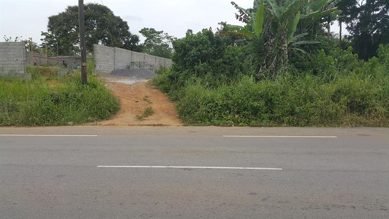 Location terrain commercial