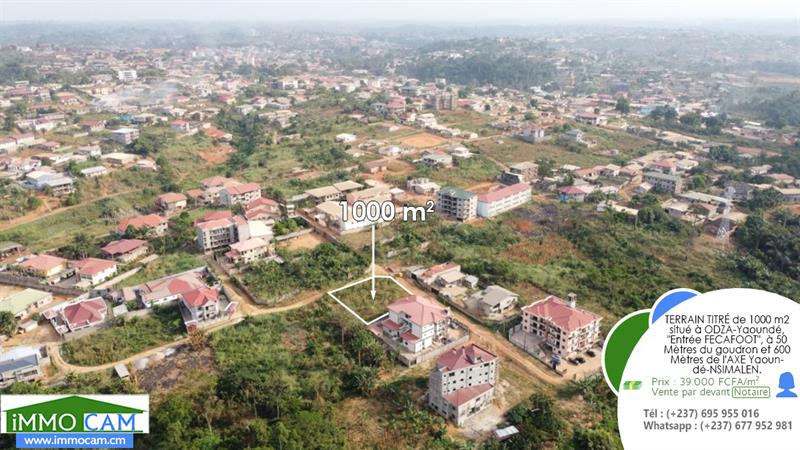 Terrain Titré De 1000 M² Situé À Yaoundé-Odza, Lieu-Dit Fecafoot 