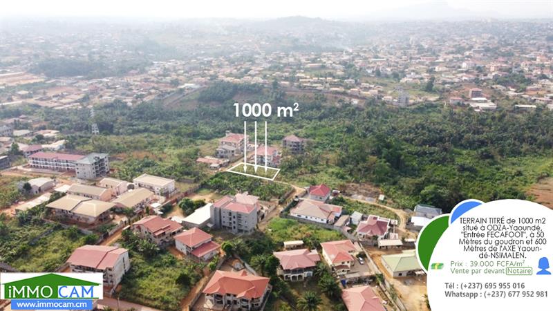 Terrain Titré De 1000 M² Situé À Yaoundé-Odza, Lieu-Dit Fecafoot 