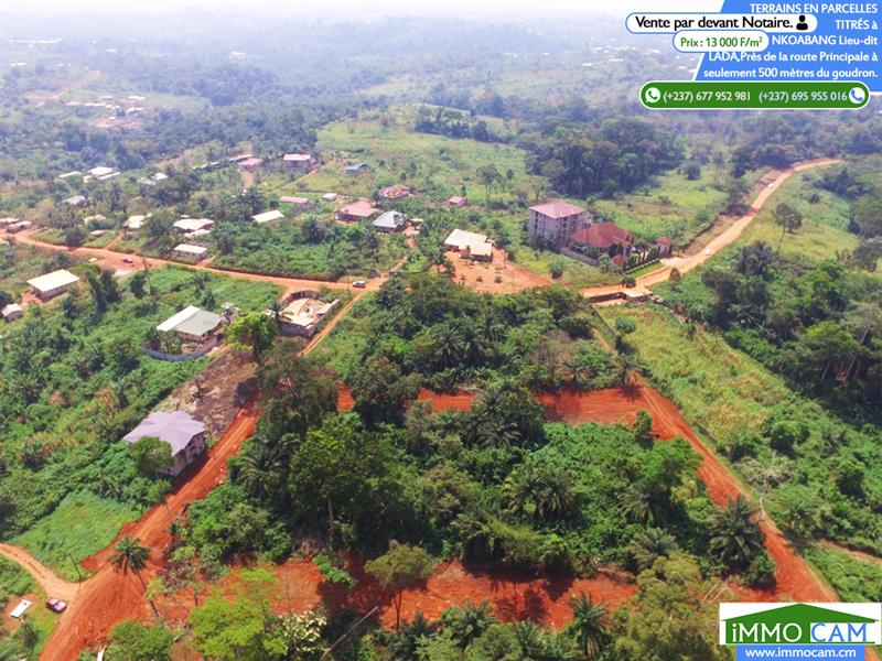 Terrains En Parcelles Titrés Situés À Yaoundé, Lieu-Dit : Lada 