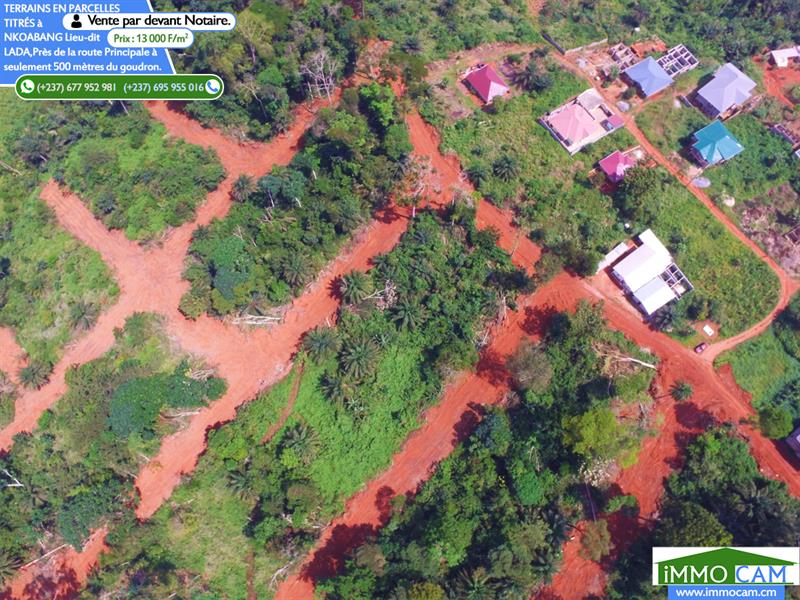 Terrains En Parcelles Titrés Situés À Yaoundé, Lieu-Dit : Lada 