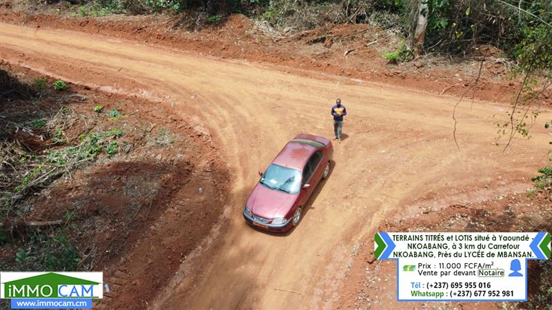 Terrains Titrés Et Lotis Situé À Yaoundé - Nkoabang 