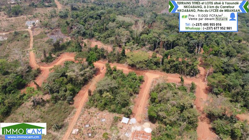 Terrains Titrés Et Lotis Situé À Yaoundé - Nkoabang 