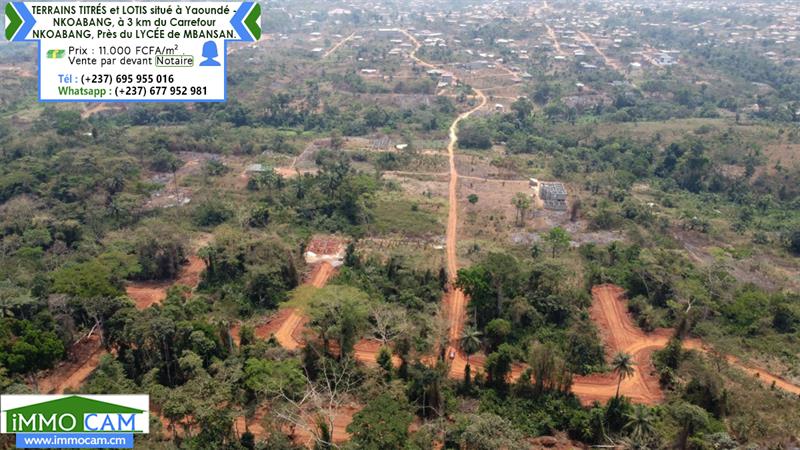 Terrains Titrés Et Lotis Situé À Yaoundé - Nkoabang 