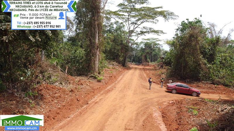 Terrains Titrés Et Lotis Situé À Yaoundé - Nkoabang 