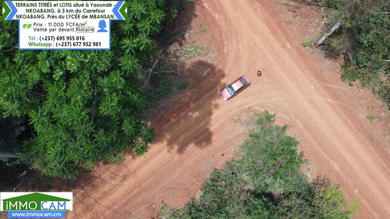 Terrains Titrés Et Lotis Situé À Yaoundé - Nkoabang 