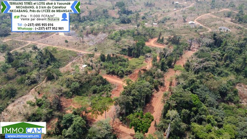 Terrains Titrés Et Lotis Situé À Yaoundé - Nkoabang 