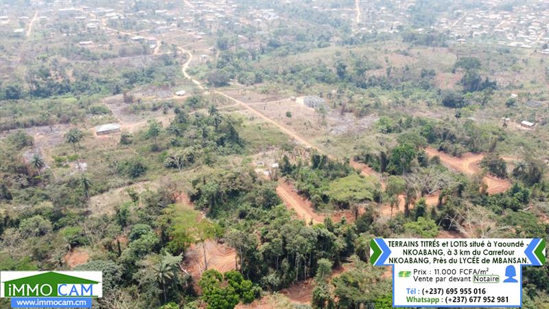 Terrains Titrés Et Lotis Situé À Yaoundé - Nkoabang 