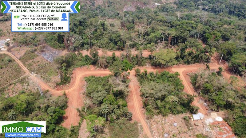 Terrains Titrés Et Lotis Situé À Yaoundé - Nkoabang 