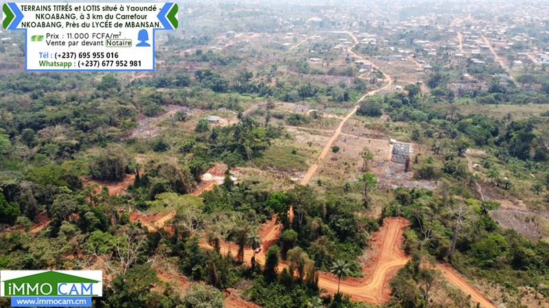 Terrains Titrés Et Lotis Situé À Yaoundé - Nkoabang 