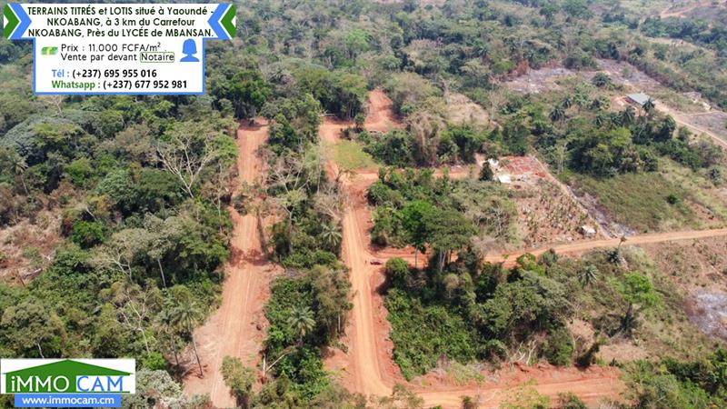 Terrains Titrés Et Lotis Situé À Yaoundé - Nkoabang 