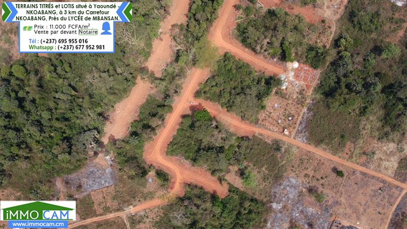 Terrains Titrés Et Lotis Situé À Yaoundé - Nkoabang 