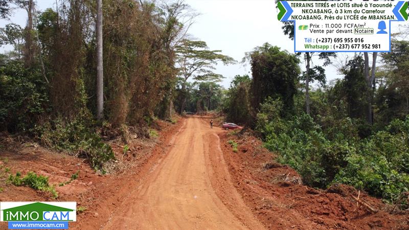 Terrains Titrés Et Lotis Situé À Yaoundé - Nkoabang 