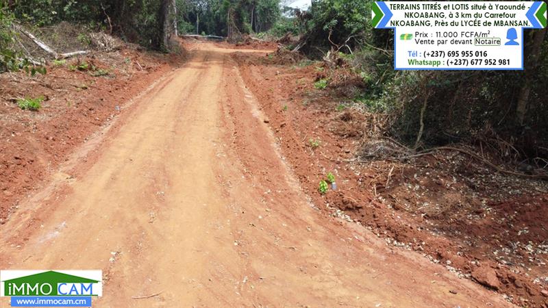 Terrains Titrés Et Lotis Situé À Yaoundé - Nkoabang 