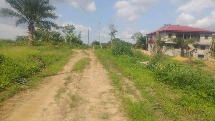 1-	Terrain Titré – Pk 20 (Non Loin De L’Église Catholique De Pk 21) 