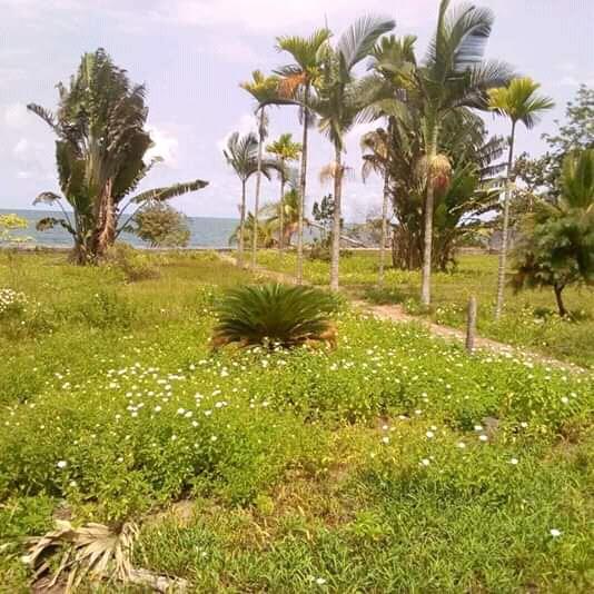 L'hôtel En Bordure De Mer À Vendre À Kribi... 