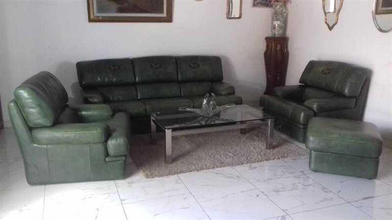 Salon En Cuir 21 