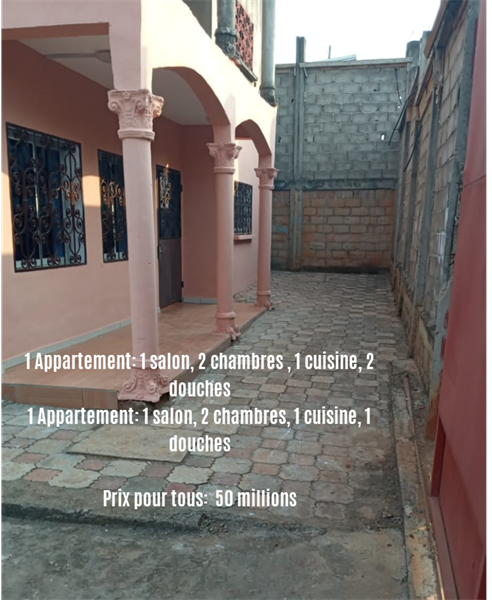 Immeuble (3 Appartements) À Vendre : Haut Standing Dans Un Nouveau Quartier Résidentiel A Tradex Eleveur (Ngousso) 