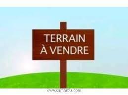 Terrain Titre Et Loti A Vendre Nouvele Route Bastos Apres Tradex 