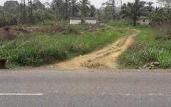 Recherche Un/Des Financier(S)Pour L'immatriculation Directe D'un Terrain,, Édéa, Immobilier au Cameroun