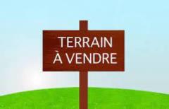 Terrain Titre Et Lotis A Vendre Nkoldongo,, Yaoundé, Immobilier au Cameroun