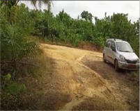 Terrain Titré Et Lotis À Vendre Au Lieu Dit Sikoum - Dibamba,, Douala, Immobilier au Cameroun