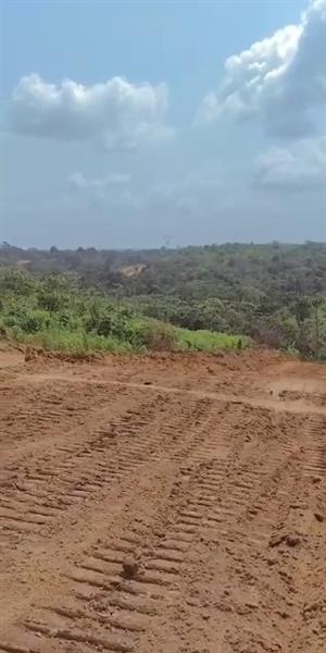 Terrains À Vendre Dans 600 Hectares Titrés À Lendi 