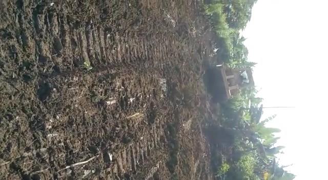 Terrains À Vendre Dans 600 Hectares Titrés À Lendi 