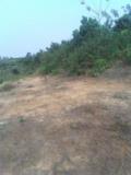 Terrain Titre A Vendre,, Douala, Immobilier au Cameroun