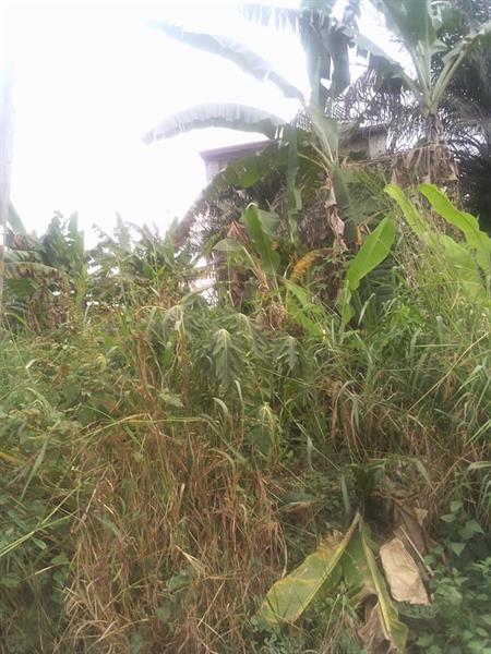 Terrain Titre A Vendre 