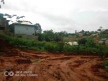 Magnifique Terrain Titré Et Loti À Badoumou,, Yaoundé, Immobilier au Cameroun