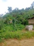 Une Terrain Tire Dire 500M² A Vendre A Mvan,,, Yaoundé, Immobilier au Cameroun