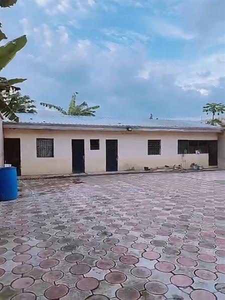 Duplex Nouvellement Construit (2 Ans) Douala Yassa 