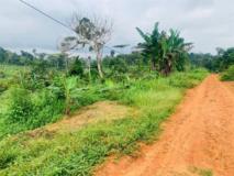 Bon Terrain A Vendre A Mbankomo,, Yaoundé, Immobilier au Cameroun