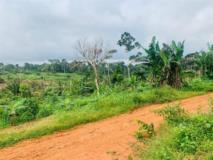 Terrain A Vendre A Mbankomo,, Yaoundé, Immobilier au Cameroun