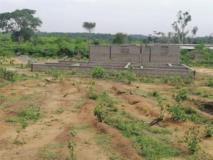 Terrain Titré À Vendre A Bwasalo,, Douala, Immobilier au Cameroun