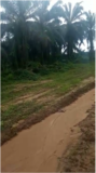 Terrain Titre Et Lotis A Vendre Au Lieu Dit Missole I - Dibamba,, Douala, Immobilier au Cameroun