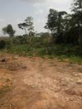 Terrain A Vendre A Nsimalen,, Yaoundé, Cameroon Real Estate