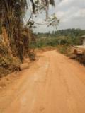 Terrain A Vendre A Nsimalen,, Yaoundé, Immobilier au Cameroun