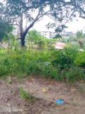 Terrain À Vendre À Pk 14,, Douala, Immobilier au Cameroun