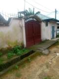 Villa A Louer A Ndoppassy 2,, Douala, Immobilier au Cameroun