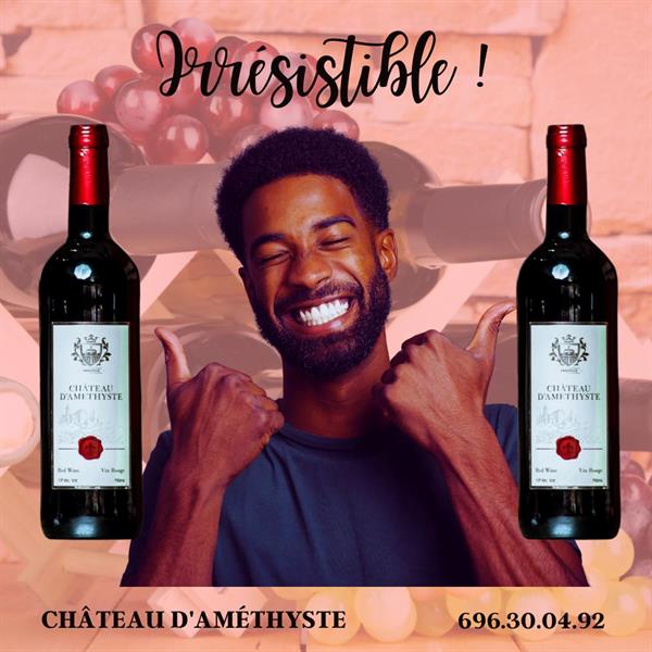 Chateau D Amesthique 