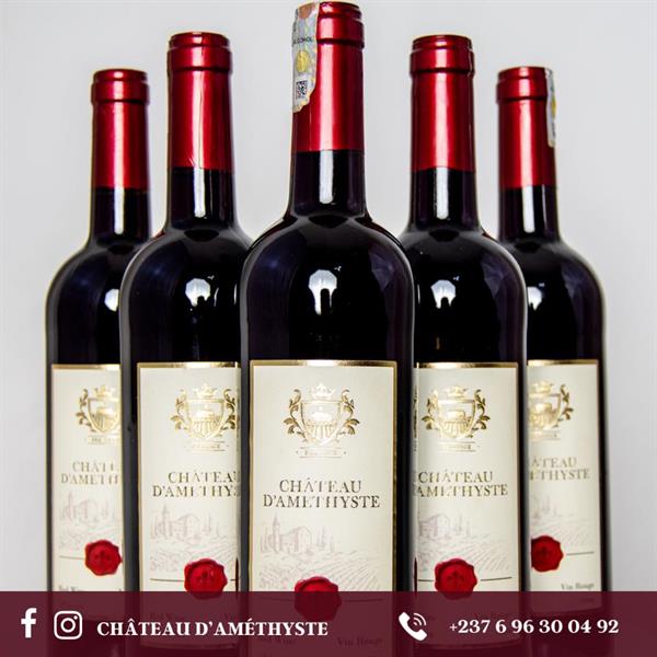 Chateau D Amesthique 