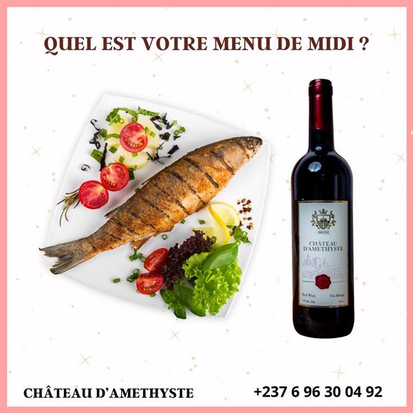 Chateau D Amesthique 